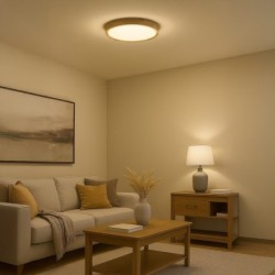 Lubinis šviestuvas Lubinis šviestuvas ORINOKO 36W LED Ø480 4000K