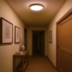 Lubinis šviestuvas Lubinis šviestuvas ORINOKO 36W LED Ø480 4000K