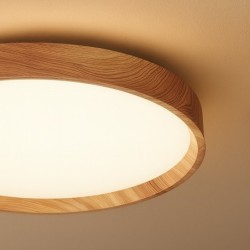 Lubinis šviestuvas Lubinis šviestuvas ORINOKO 36W LED Ø480 4000K