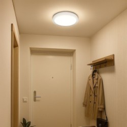 Lubinis šviestuvas VIGO 24W LED Ø380 4000K