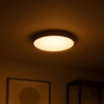 Lubinis šviestuvas FOREST 24W LED Ø390 4000K