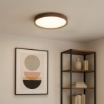 Lubinis šviestuvas FOREST 24W LED Ø390 4000K