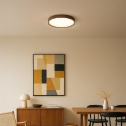 Lubinis šviestuvas FOREST 24W LED Ø390 4000K