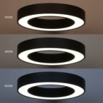 Pakabinamas šviestuvas Union JUODA 40W Ø40cm LED 3000-4000-6000K