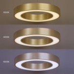 Pakabinamas šviestuvas Union Auksas 40W Ø40cm LED 3000-4000-6000K