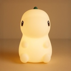 Naktinis LED šviestuvas DINO 1W 3000K+RGB USB 5V 1A