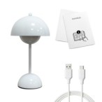 Pakraunamas stalinis šviestuvas COSTA BALTA 3W CCT USB-C pritemdomas