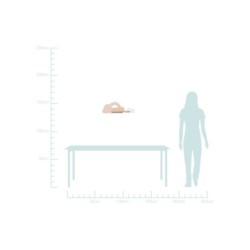 CLOUD Sieninis šviestuvas 5W LED IQ KIDS PINK+Balta