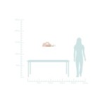 CLOUD Sieninis šviestuvas 5W LED IQ KIDS PINK+Balta