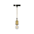 Pakabinamas šviestuvas RL-LPP060A 1xE27 Juoda /Platinos