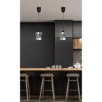 FELIS Pakabinamas šviestuvas Juoda 1xE27 Tamsintas stiklas