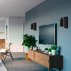 JONERA Sieninis šviestuvas Juoda P25 1xE27 Tamsintas stiklas