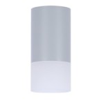 Lubinis šviestuvas TUBE 1X50W GU10 FROZEN + Balta D:6.4CM