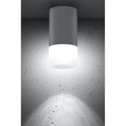 Lubinis šviestuvas TUBE 1X50W GU10 FROZEN + Balta D:6.4CM