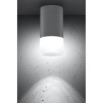 Lubinis šviestuvas TUBE 1X50W GU10 FROZEN + Balta D:6.4CM