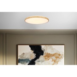 TENS Lubinis šviestuvas Medžio 48W LED 3000/4000/6000K 59cm Balta + pultelis