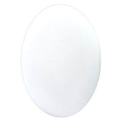 Lubinis / sieninis LED šviestuvas SORA 28W, IP54, CCT (3000-6000K), Baltas