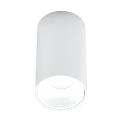 Akcentinis LED šviestuvas TULSA 10W, Baltas, 3000K (Šiltai balta)