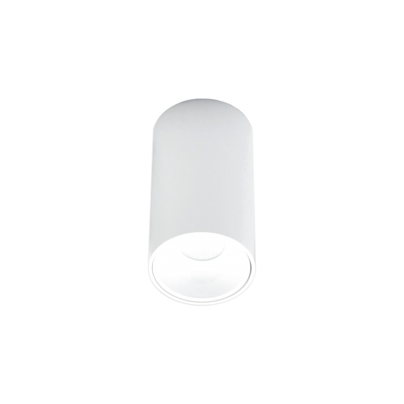 Akcentinis LED šviestuvas TULSA 10W, Baltas, 3000K (Šiltai balta)