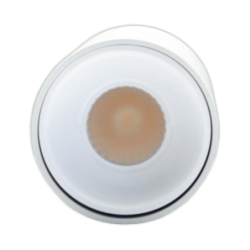 Akcentinis LED šviestuvas TULSA 10W, Baltas, 3000K (Šiltai balta)