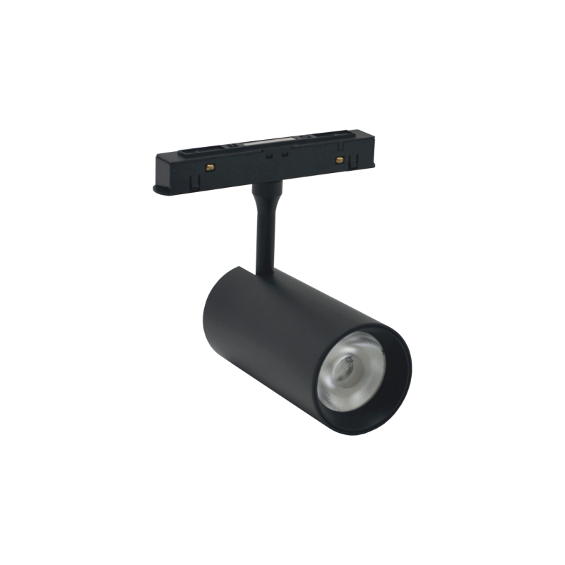 Magnetinis 12W LED šviestuvas, akcentinis prožektorius TAMPA CCT, Smart (Tuya), Juodas 48V