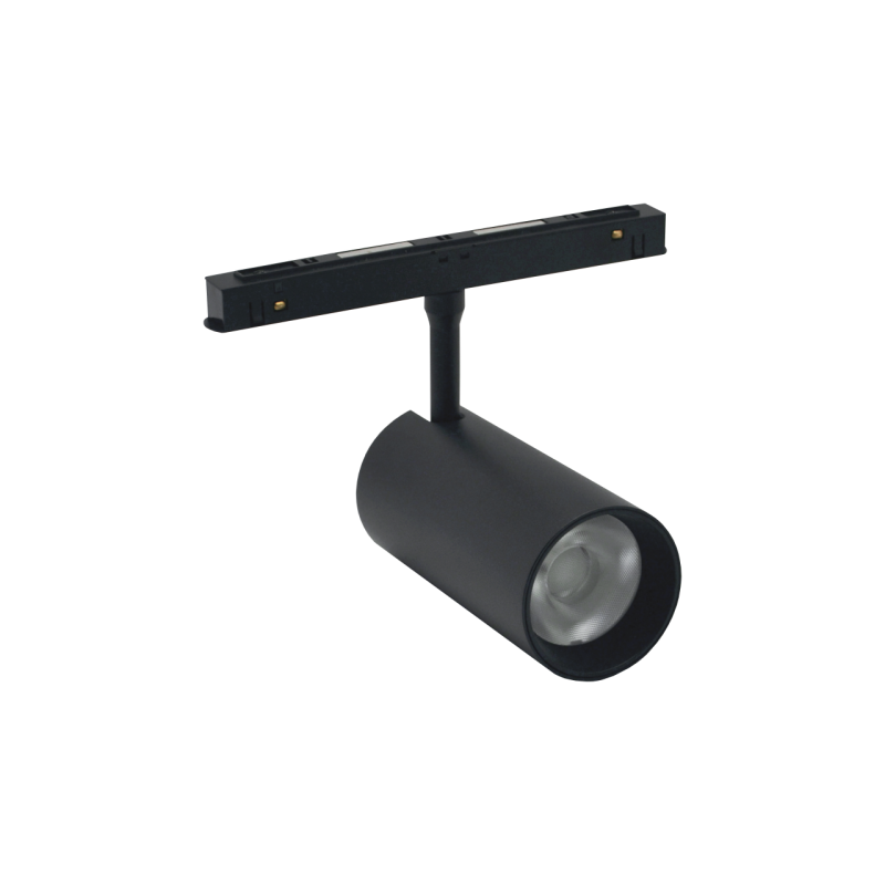 Magnetinis 20W LED šviestuvas, akcentinis prožektorius TAMPA CCT, Smart (Tuya), Juodas 48V