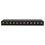 Magnetinis 12W LED šviestuvas, akcentinis pakreipiamas TAMPA CCT, Smart (Tuya), Juodas 48V