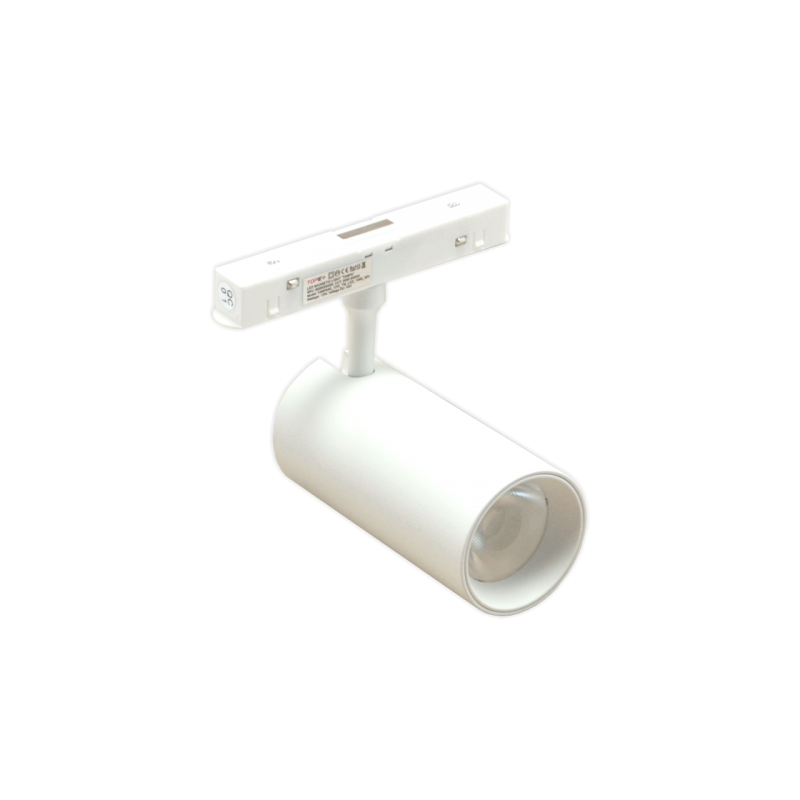 Magnetinis 12W LED šviestuvas, akcentinis prožektorius TAMPA CCT, Smart (Tuya), baltas 48V