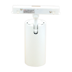 Magnetinis 12W LED šviestuvas, akcentinis prožektorius TAMPA CCT, Smart (Tuya), baltas 48V