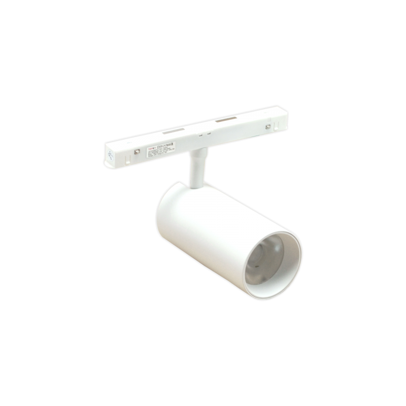 Magnetinis 20W LED šviestuvas, akcentinis prožektorius TAMPA CCT, Smart (Tuya), baltas 48V