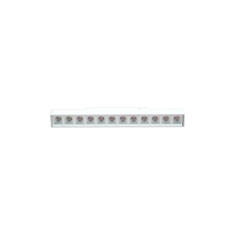 Magnetinis 12W LED šviestuvas, akcentinis taškinis TAMPA CCT, Smart (Tuya), baltas 48V
