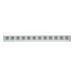 Magnetinis 12W LED šviestuvas, akcentinis taškinis TAMPA CCT, Smart (Tuya), baltas 48V