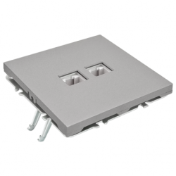 Telefono (RJ11) ir Kompiuterio (RJ45) lizdas, BORA, Pilkas (be rėmelio)
