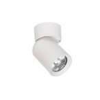 Sieninis - lubinis šviestuvas GU10 LED Timo Reguliuojamas x1 BALTA