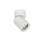 Sieninis - lubinis šviestuvas GU10 LED Timo Reguliuojamas x1 BALTA