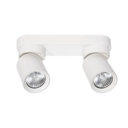 Sieninis - lubinis šviestuvas GU10 LED Timo Reguliuojamas x2 BALTA