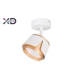 Sieninis - lubinis šviestuvas (XD-IK281W) GX53 LED x1 BALTA+Aukso