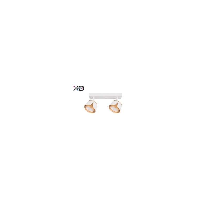 Sieninis - lubinis šviestuvas (XD-IK282W) GX53 LED x2 BALTA+Aukso