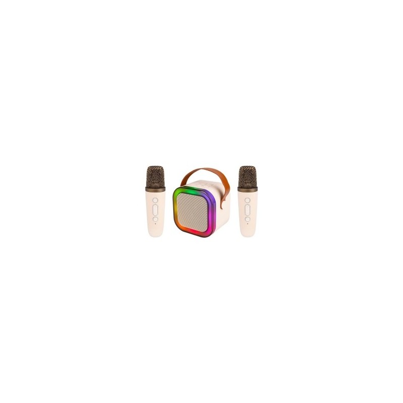 Nešiojamas Bluetooth karaoke garsiakalbis – 2 mikrofonai