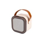 Nešiojamas Bluetooth karaoke garsiakalbis – 2 mikrofonai