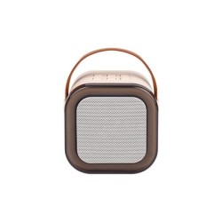 Nešiojamas Bluetooth karaoke garsiakalbis – 2 mikrofonai