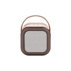 Nešiojamas Bluetooth karaoke garsiakalbis – 2 mikrofonai
