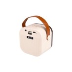 Nešiojamas Bluetooth karaoke garsiakalbis – 2 mikrofonai
