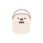 Nešiojamas Bluetooth karaoke garsiakalbis – 2 mikrofonai