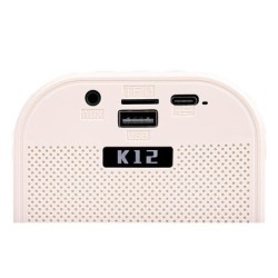 Nešiojamas Bluetooth karaoke garsiakalbis – 2 mikrofonai