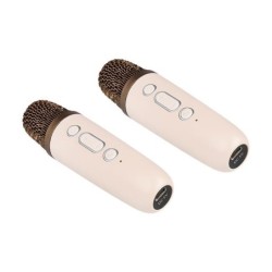 Nešiojamas Bluetooth karaoke garsiakalbis – 2 mikrofonai