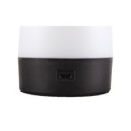 Stalinis šviestuvas LED Lapilus 1W 4000K USB