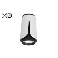 Lubinis paviršinio montavimo šviestuvas (XD-IK250W) GU10 BALTA+Juoda