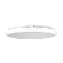 Lubinis šviestuvas LED Midas 22W IP65 4000K IK10