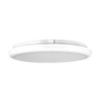 Lubinis šviestuvas LED Midas 22W IP65 4000K IK10